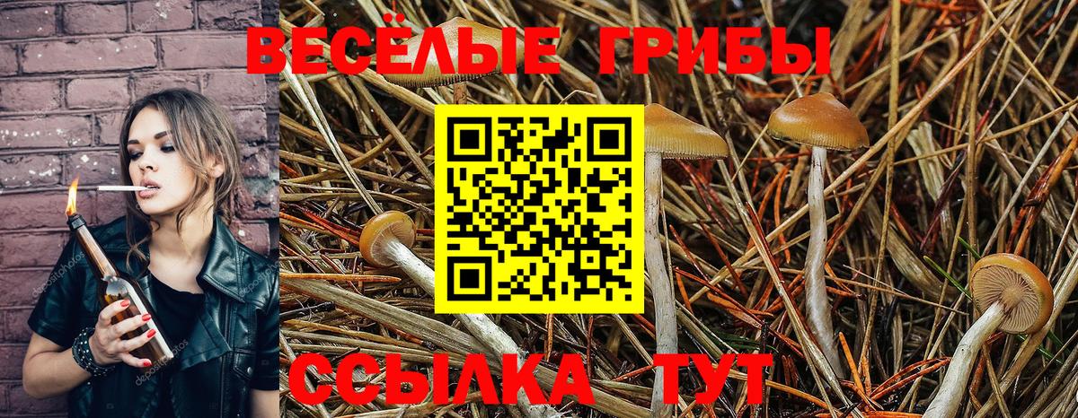 Галлюциногенные грибы мицелий  Псилоцибиновые грибы GOLDEN TEACHER  Вход с VPN  Маркс 