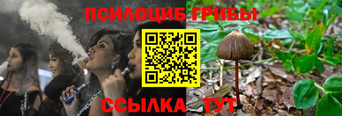 Галлюциногенные грибы MAGIC MUSHROOMS Маркс